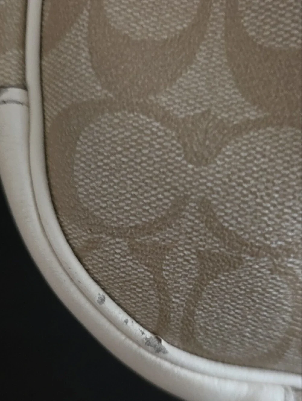 Coach Beige Signature Canvas Hobo Bag
